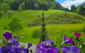 Haus Luise Bad Hindelang 3*